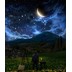 淘寶美工星空丶